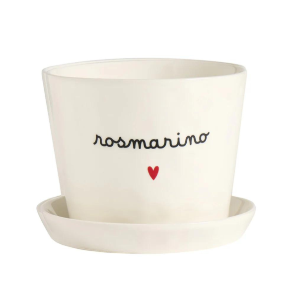 Vaso Rosmarino con cuore  - Simple Day